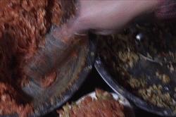 秋天的杭州自驾游,杭州秋冬自驾