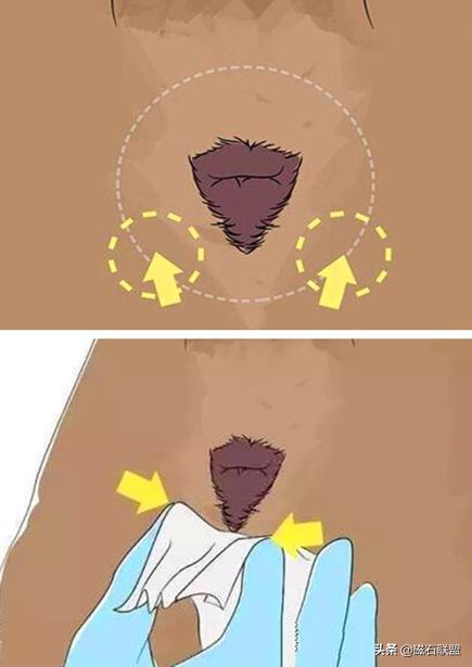 狗狗总是用屁屁蹭主人的腿,狗狗老是用屁股蹭你是什么意思