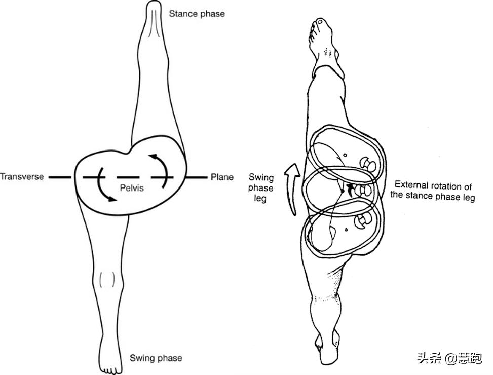 正确的跑姿掌握这五点,为什么跑姿不对