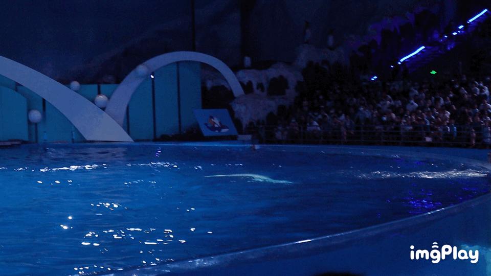 aigoa10s充电宝,aigoa110s自动充电宝