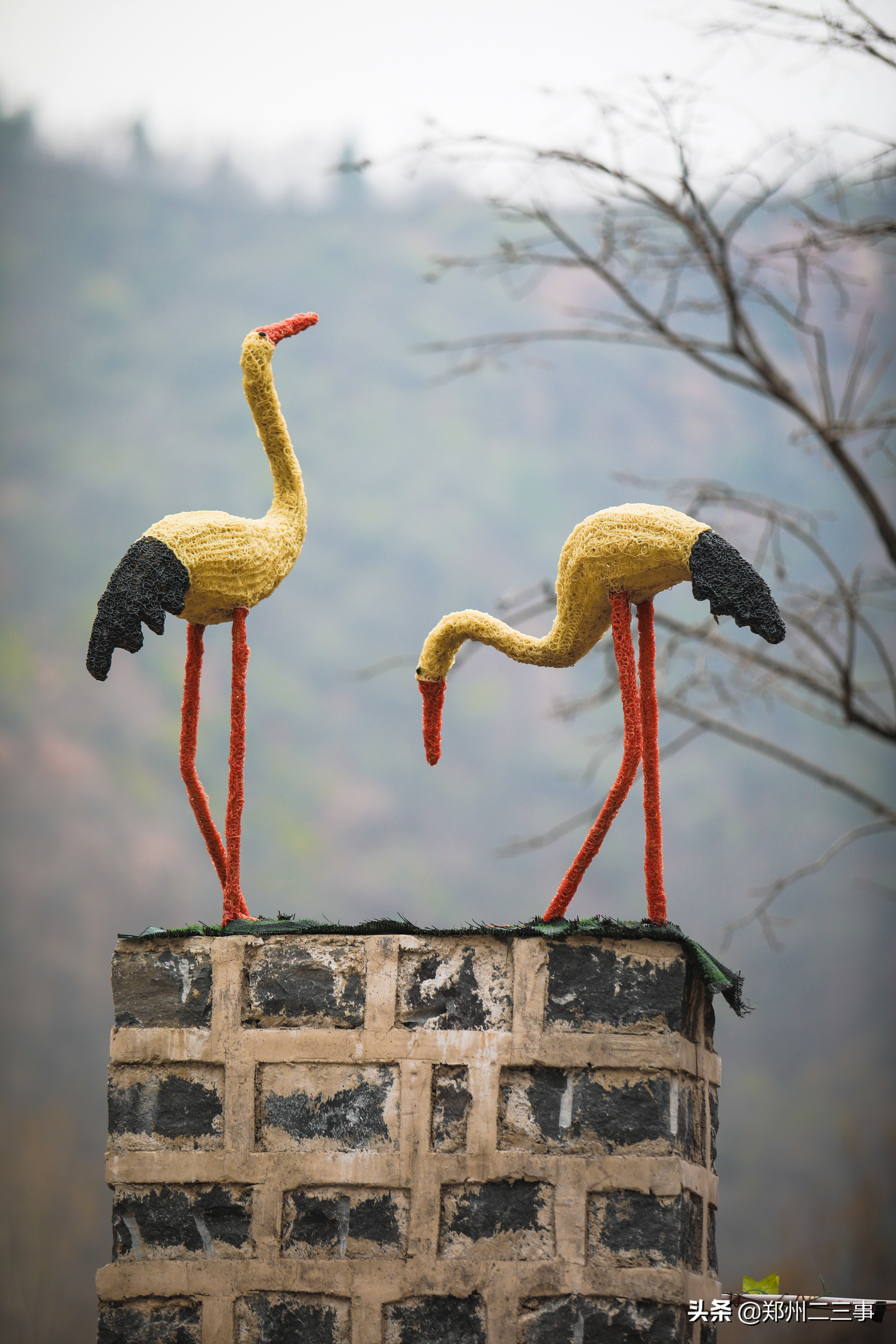 郑州惠济区免费遛娃好去处植物园,郑州遛娃踏青好去处