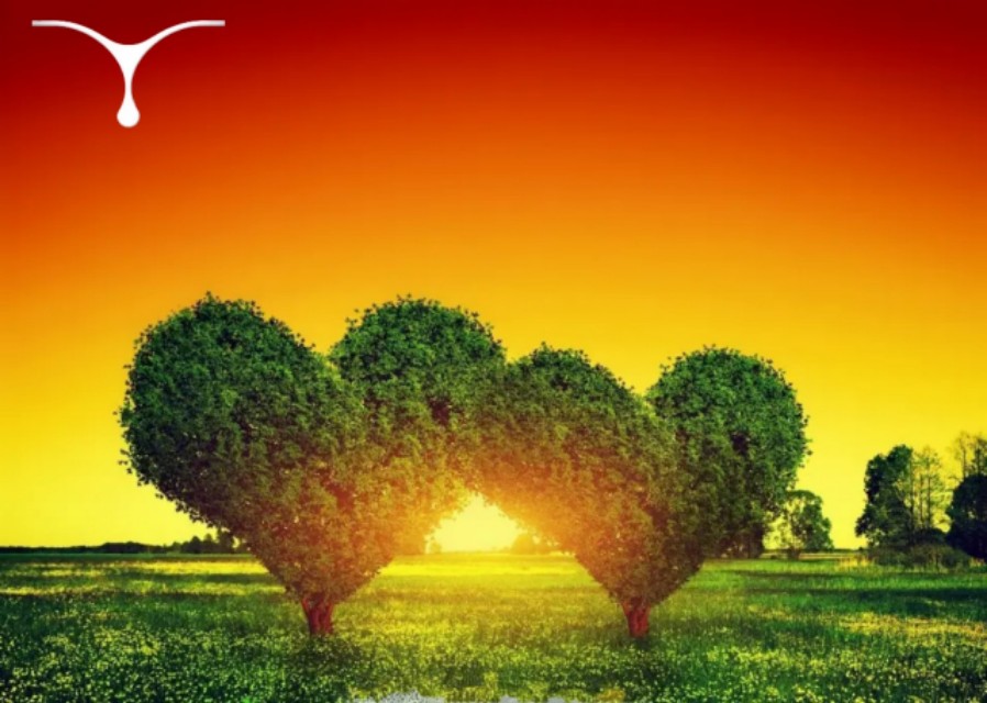 天美圣和教你说话艺术：怎么让丈夫愉快地放好臭袜子