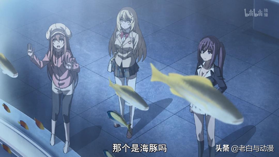 《超炮T》完结，结局很美好，食蜂带桃莉去水族馆