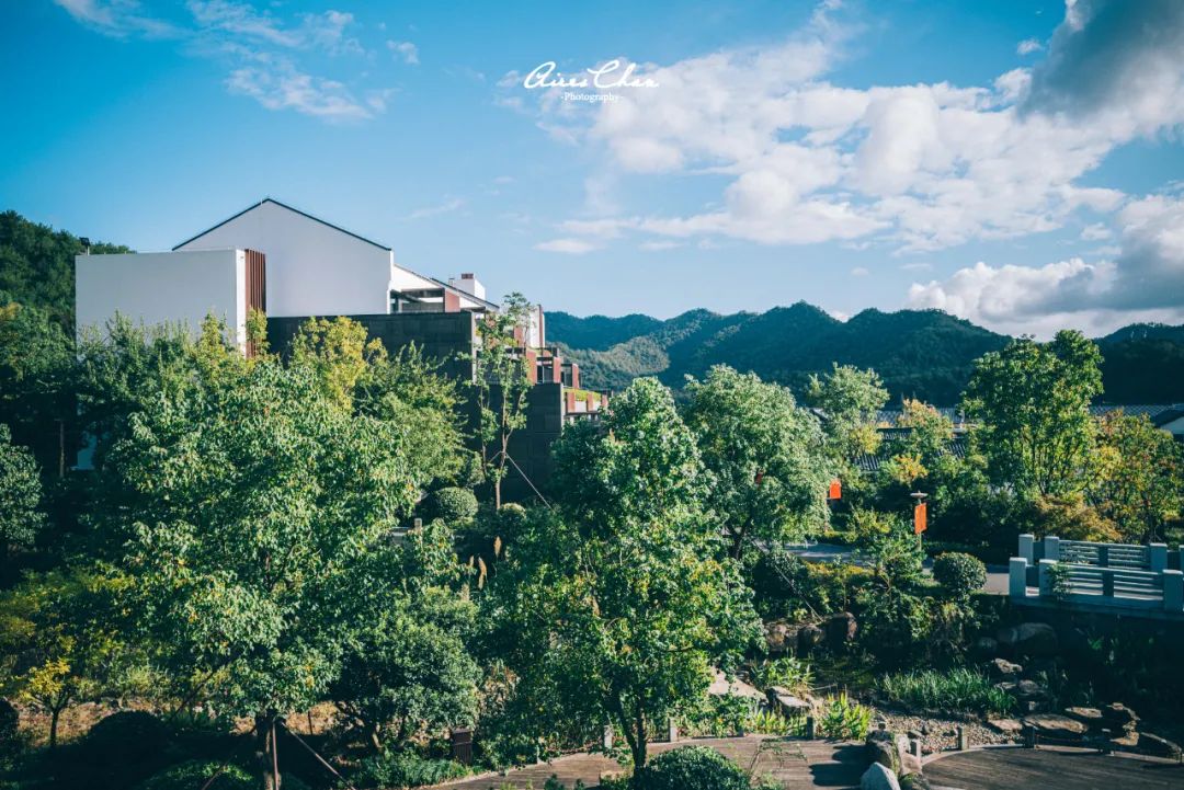 这是湖边度假酒店的性价比天花板！还有双11玩法剧透