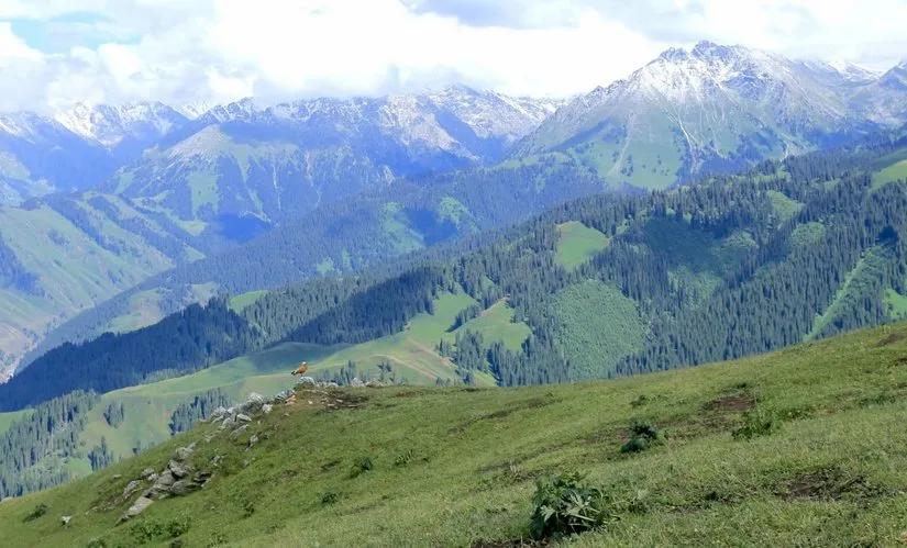 喀拉峻穿越琼库什台几天,喀拉峻穿越琼库什台