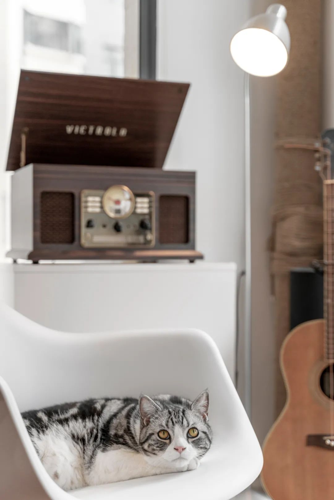 佛山女子与男友、男友妈弟住76㎡，养一猫还要工作室，装修绝了