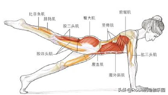 一招快速又有效的瘦大腿,快速有效瘦大腿
