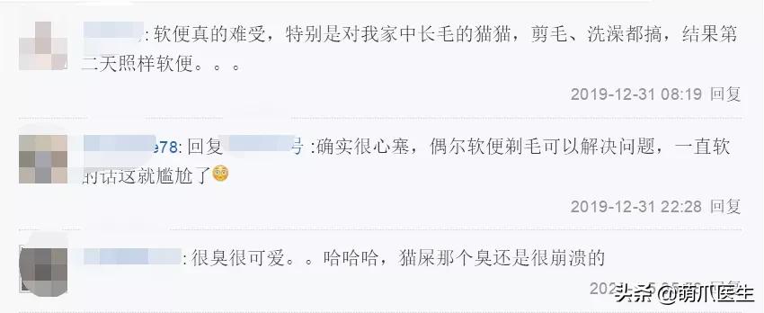 猫咪软便和拉稀的区别是什么,猫咪软便拉稀是如何处理