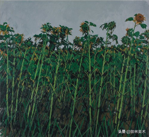 为什么好多人要上大专,为什么一定要上美院