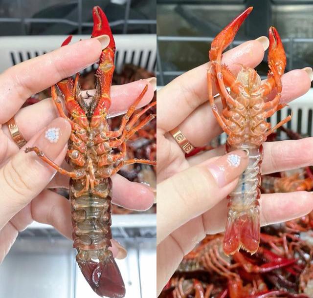 姐妹们要提升幸福感,厨房升级这6个地方后幸福感倍增