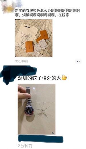 科学家揭示“凡尔赛”行为：他们可能不是真自恋，只是缺乏安全感