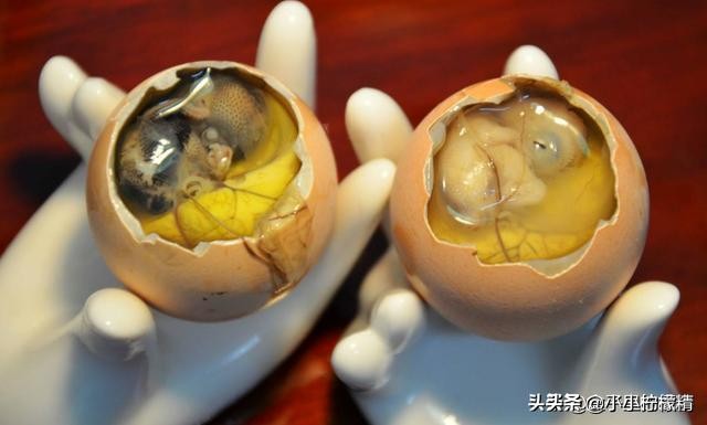 你吃过舍友带来的特产,你吃过大学舍友哪些奇怪的特产