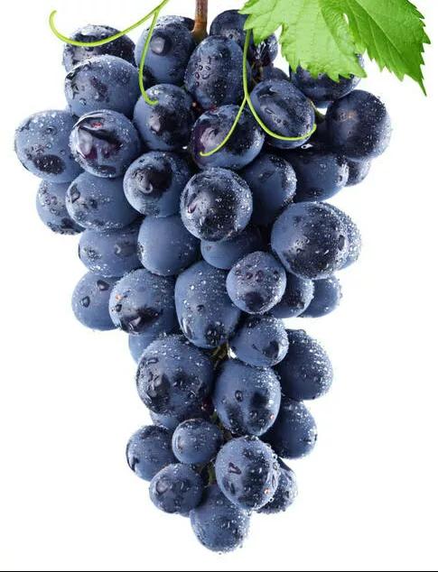 寒食节和清明节来历,寒食节和清明节的来历简单