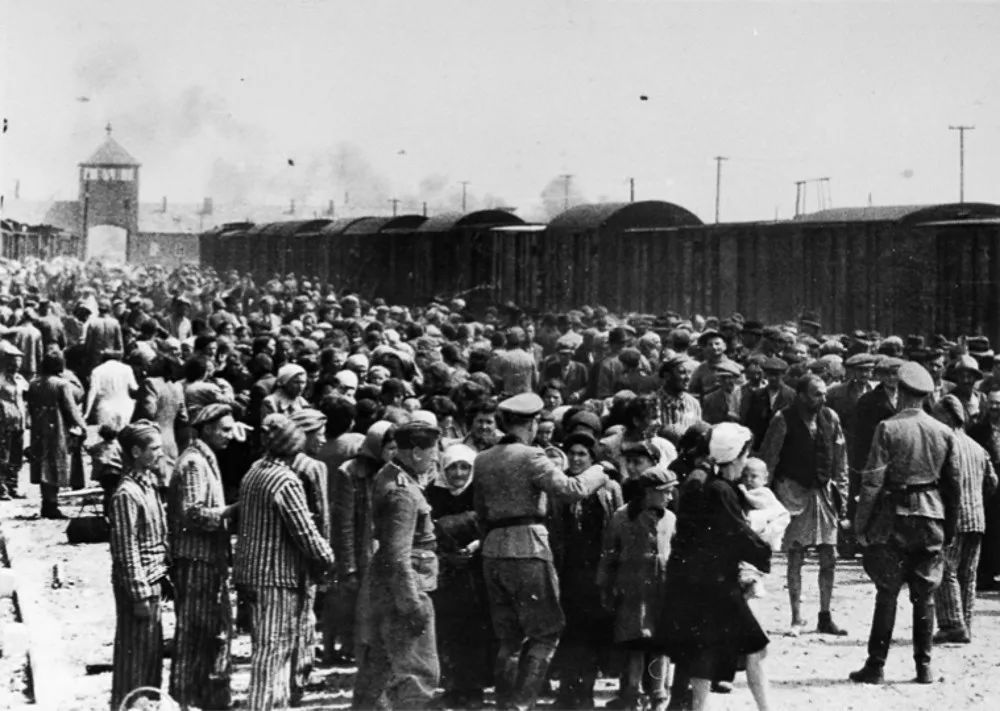 影史最伟大的电影镜头,影史最伟大魔幻片