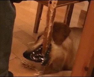 回家的路上看到这么多钱，背包都装不下啊，现在该怎么办