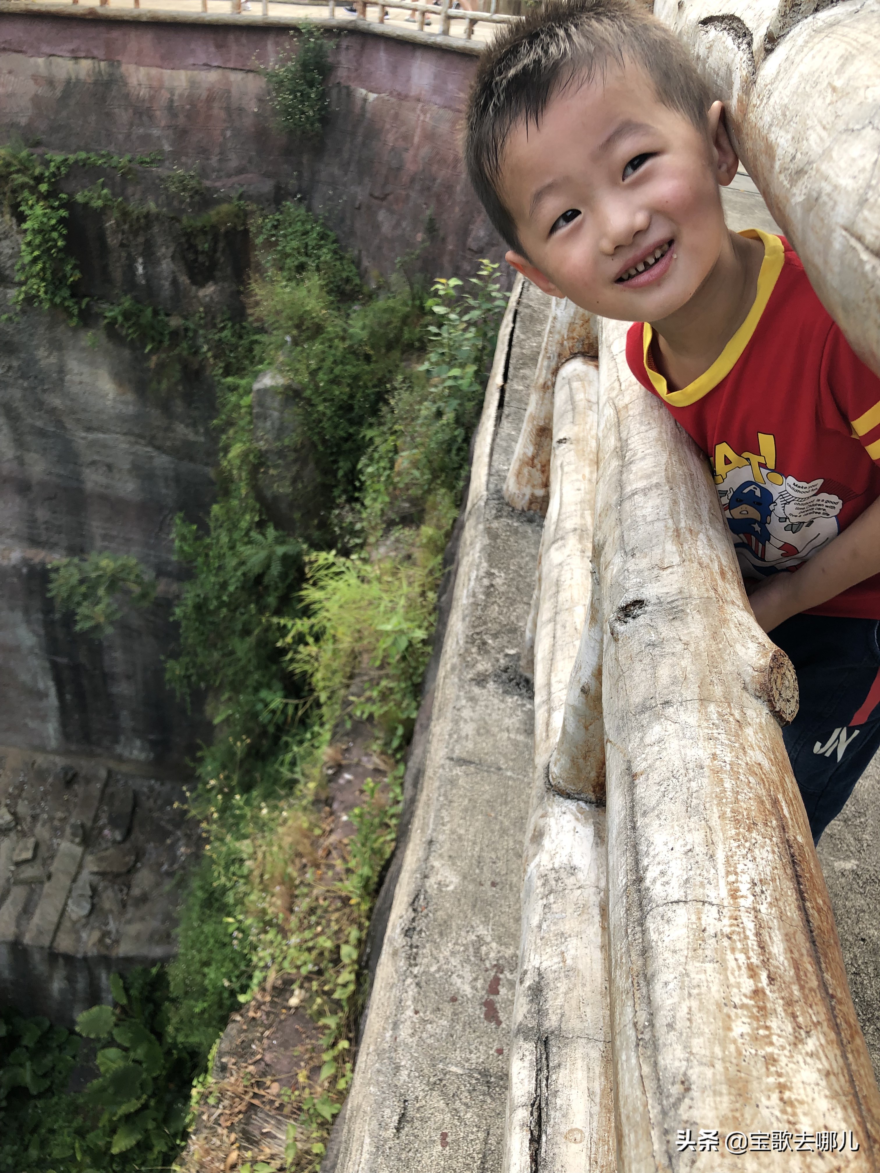莲花山广州,广州莲花山莲花仙境简介