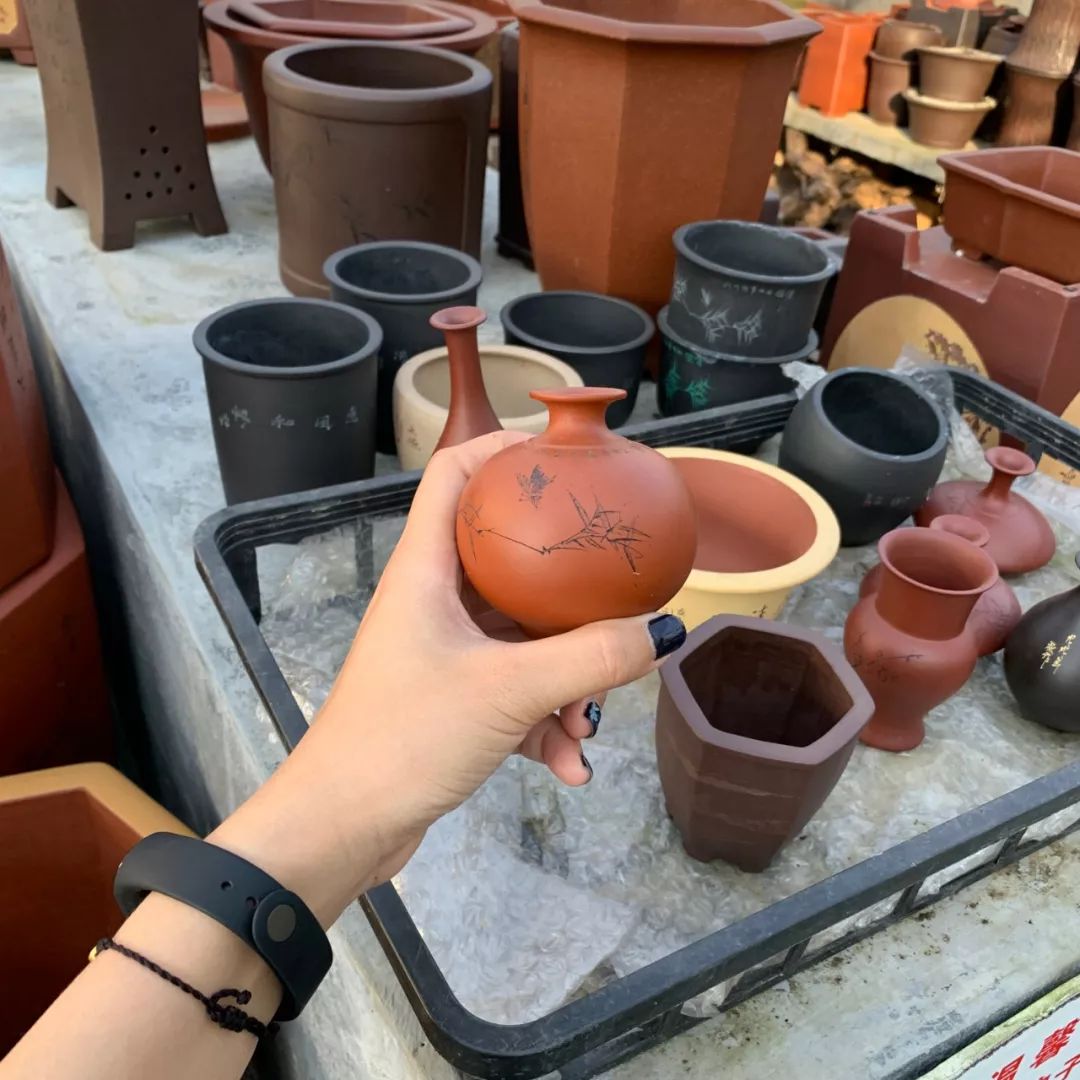 韶关最美乡村游,广东韶关乡村大自然的风景