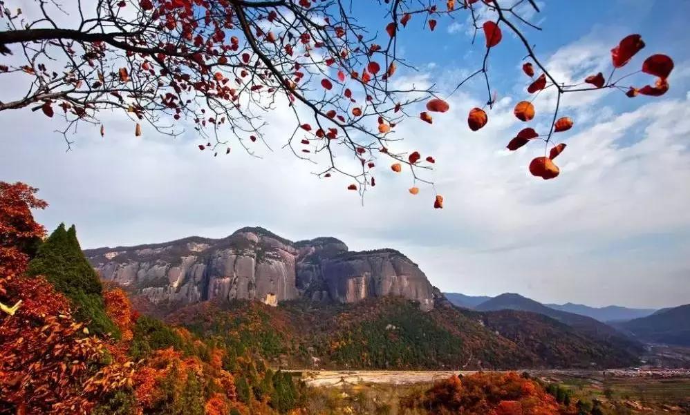 停车坐爱枫林晚霜叶红于二月花,西安秋季开车看红叶最好去处