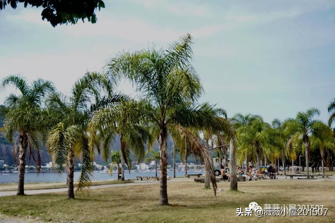 探秘巴西里约热内卢,上帝之城里约热内卢是原型吗