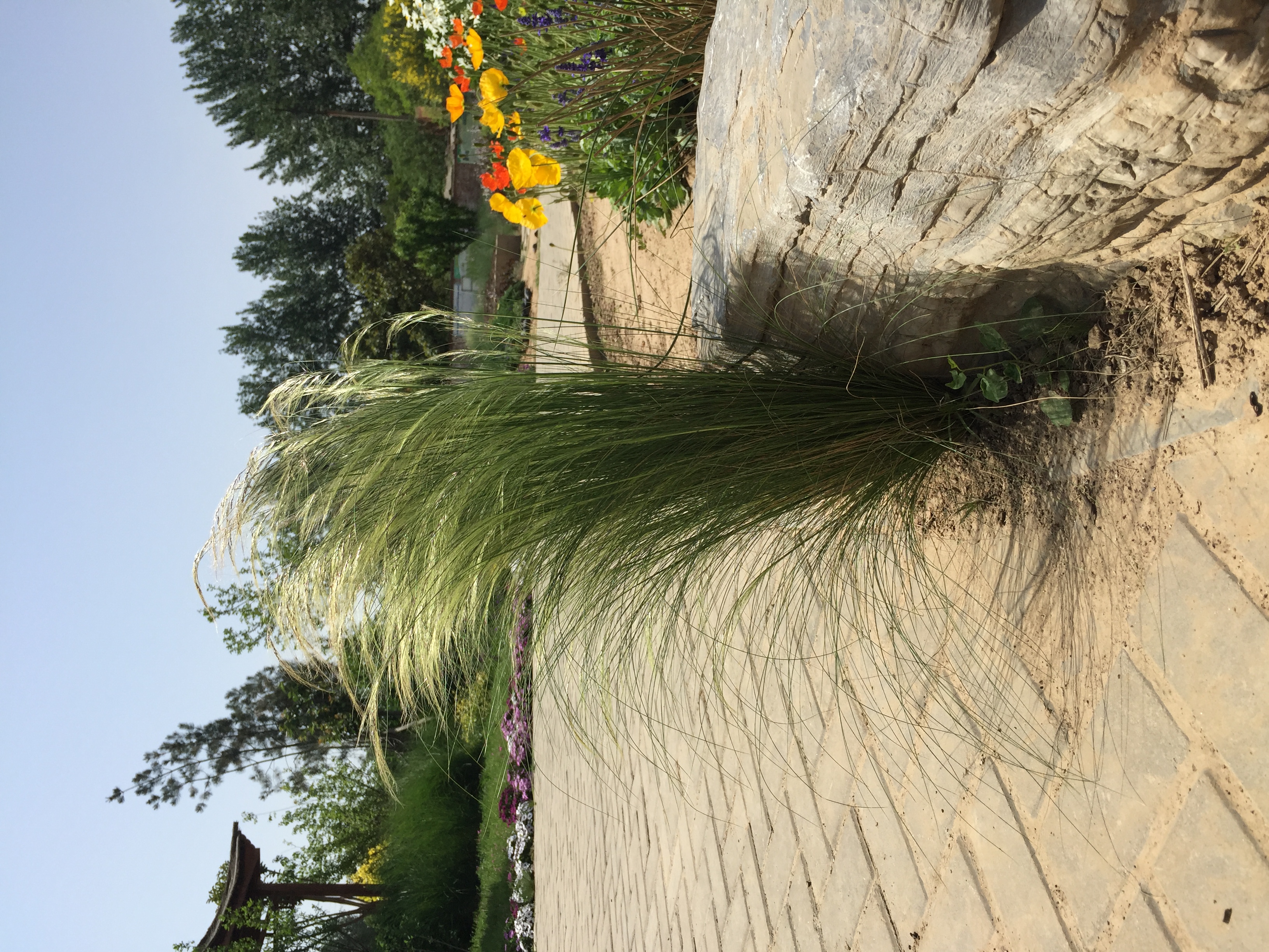 什么是拍照构图,什么是拍照