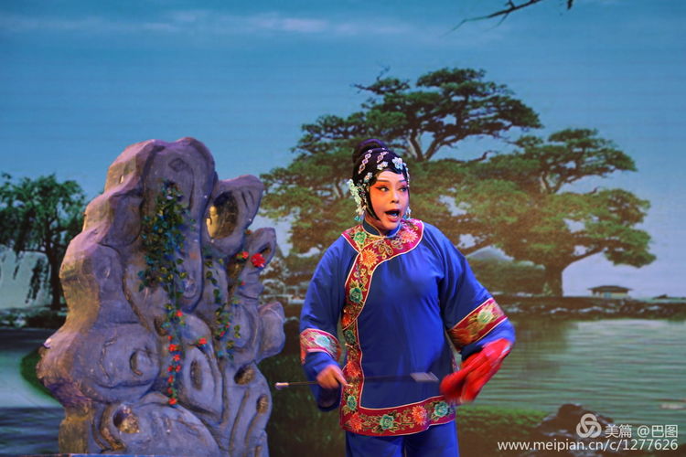 曲剧花为媒经典唱段全场,曲剧花为媒报花名完整唱段