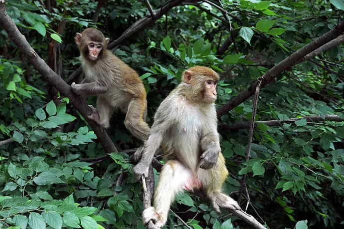 森田疗法中的思想矛盾,森田疗法三句话