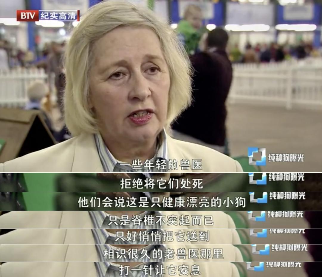 你有什么资格说爱我吗,你有什么资格说爱我完整版