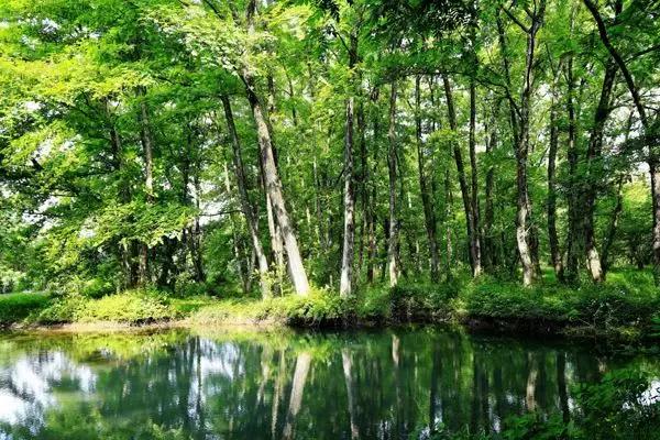 去了10次也不腻的地方,芜湖最值得一去的地方