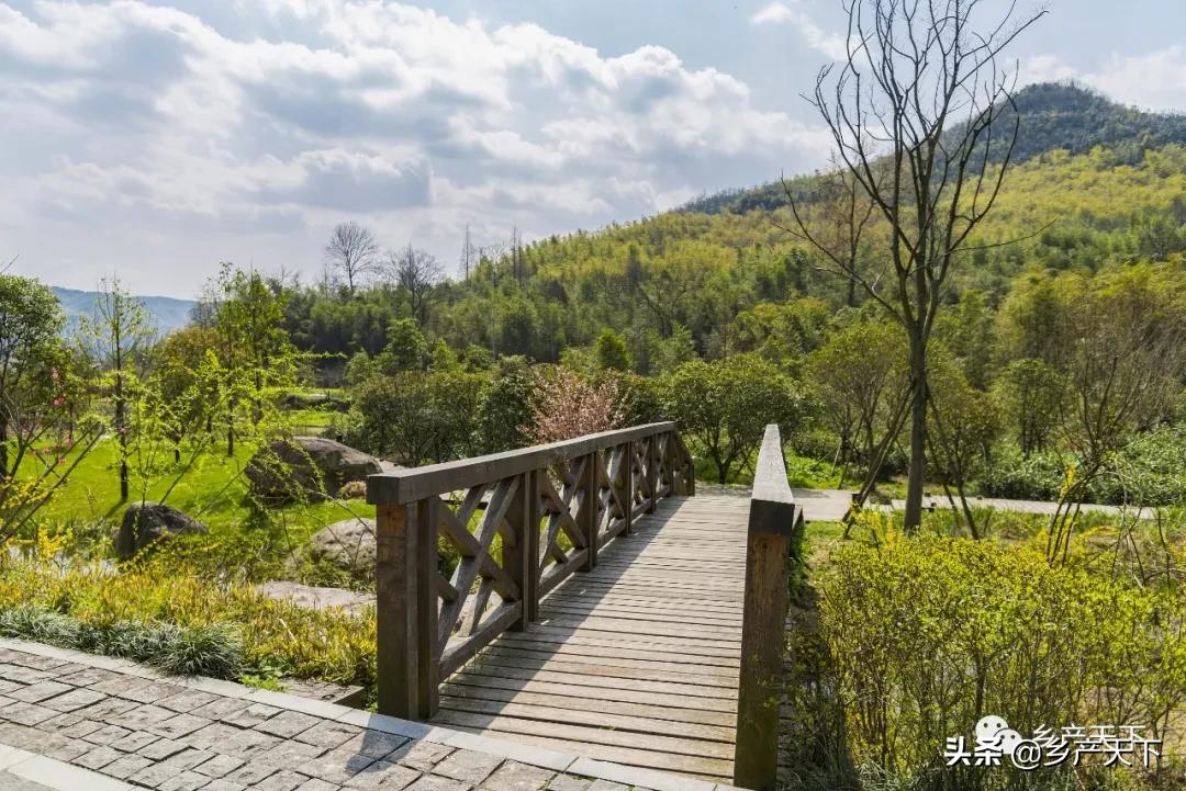 安吉旅游区,安吉深度游