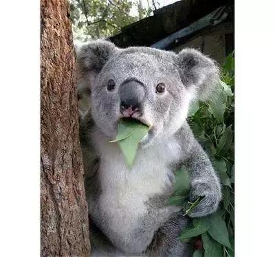 西安串串比拼,西安最好吃的串串大测评