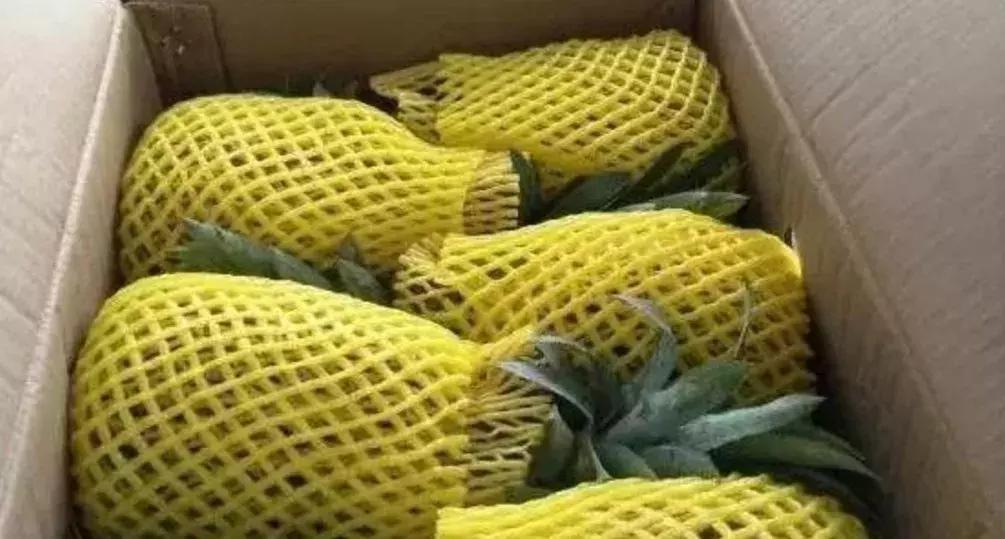 水果运输包装需注意什么,水果发快递包装规范