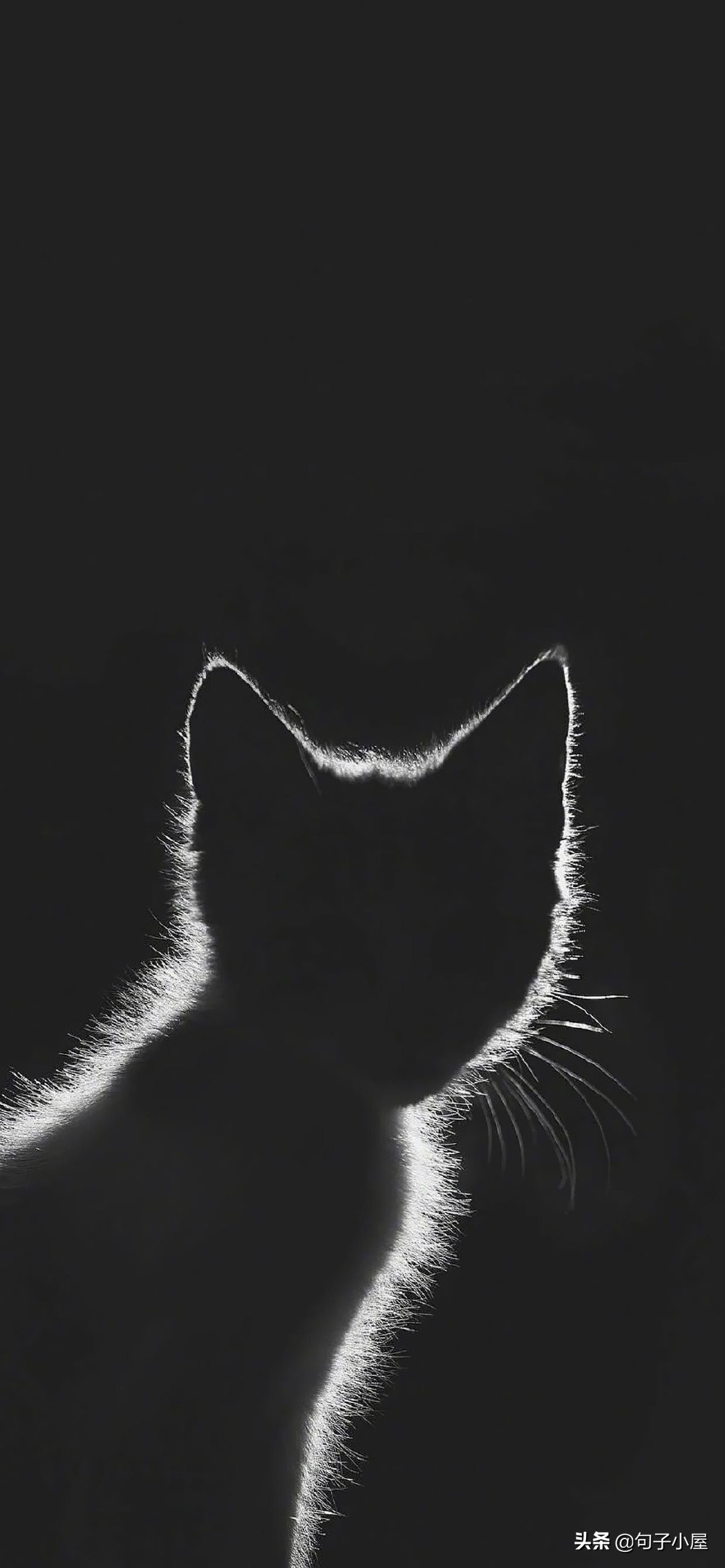 值得摘抄的句子30句,优美句子摘抄每天三则