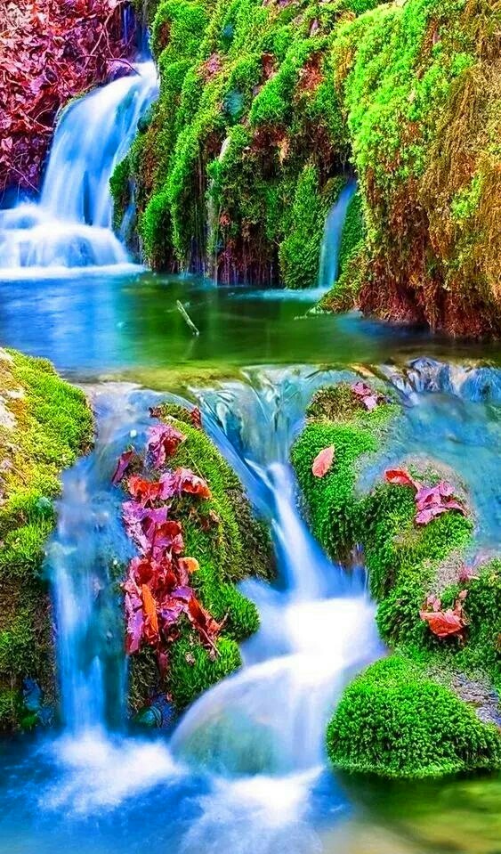 没有人可以放弃你自己,永远也不要放弃你自己