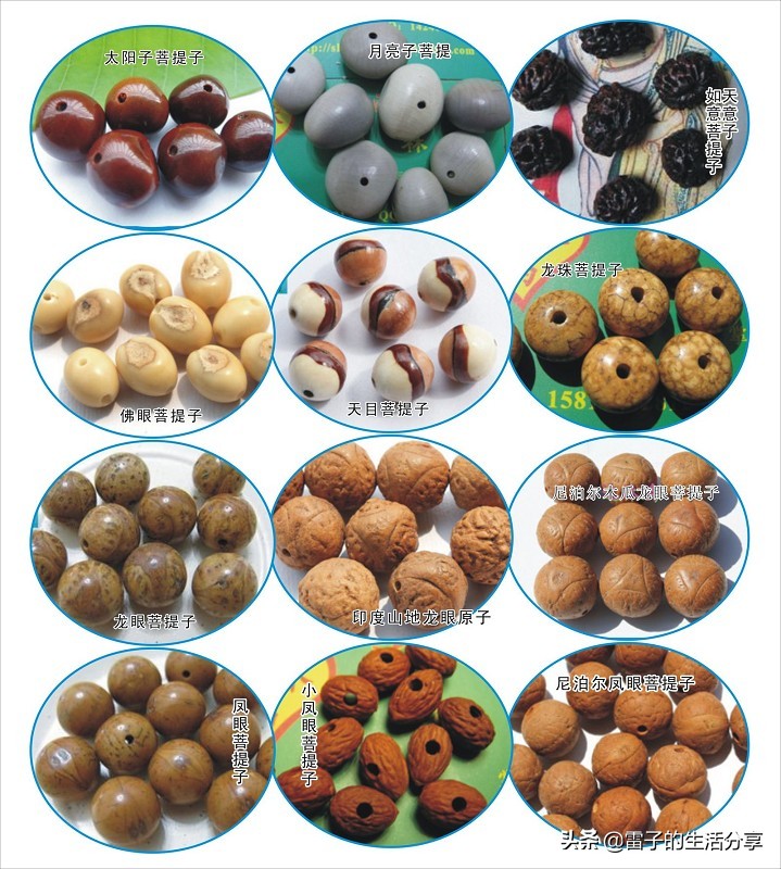 菩提子配饰翡翠,菩提子蜜蜡配饰图