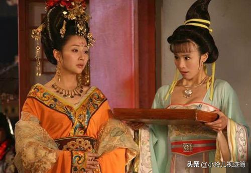 杨贵妃秘史杨玉环自述,杨玉环秘史玉真公主