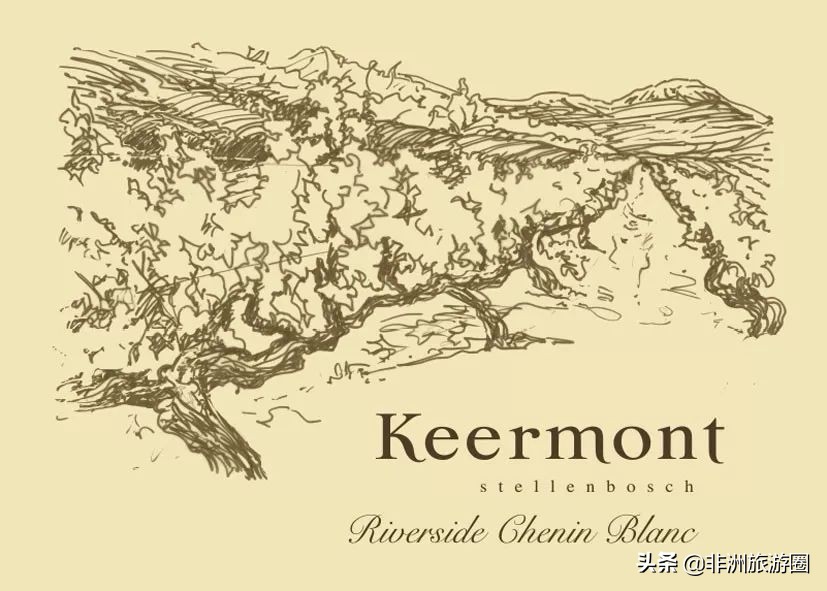 南非有什么葡萄酒好喝又便宜,南非葡萄酒品种