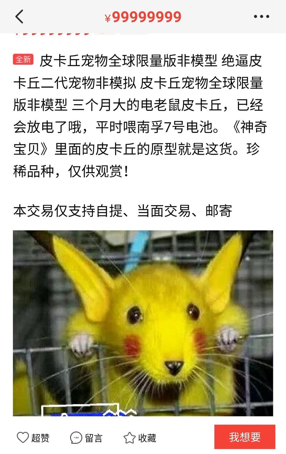 奇葩网购搞笑段子,奇葩的网购搞笑段子