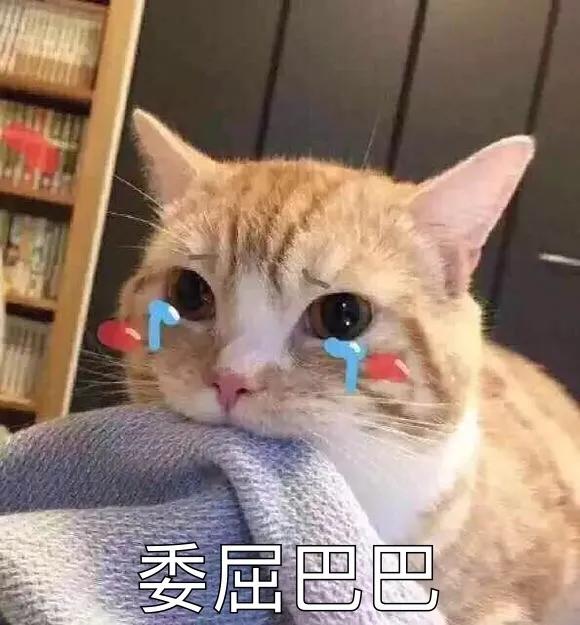 许愿就必须用相应的任务来还愿,许愿是一件很神圣的事情