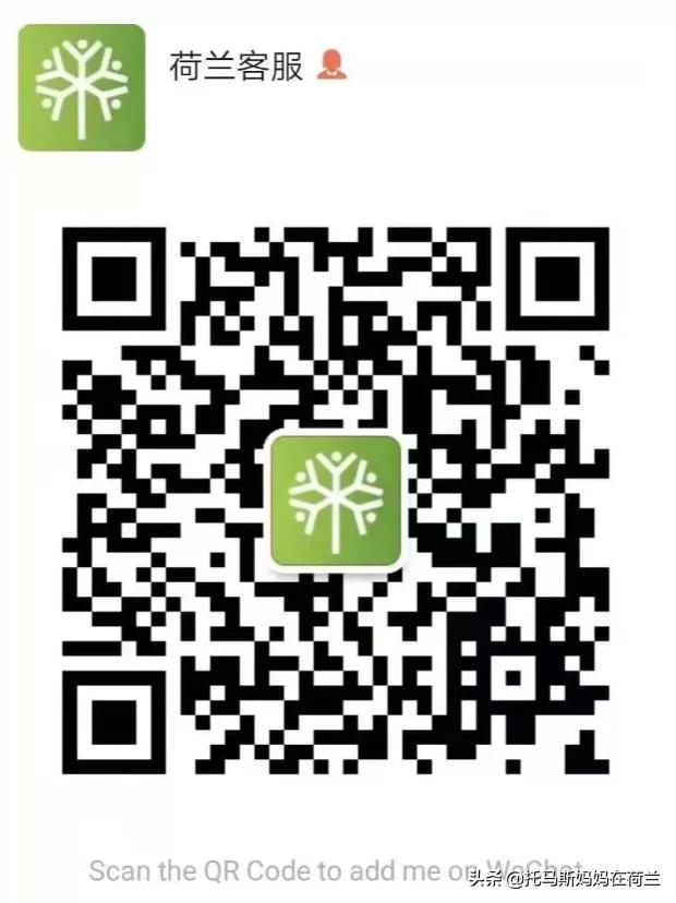 2021回家难，荷兰华人就选这个给亲戚朋友拜年