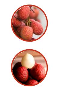 只为灵山“小红果”,不辞长作荔乡人