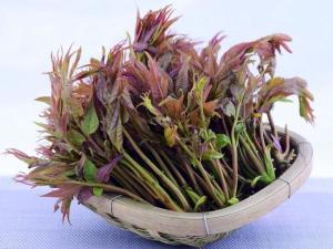 杩欑閲庤彍浣犲悆杩囧悧,杩欑閲庢灉浣犲悆杩囧悧鍥炬枃