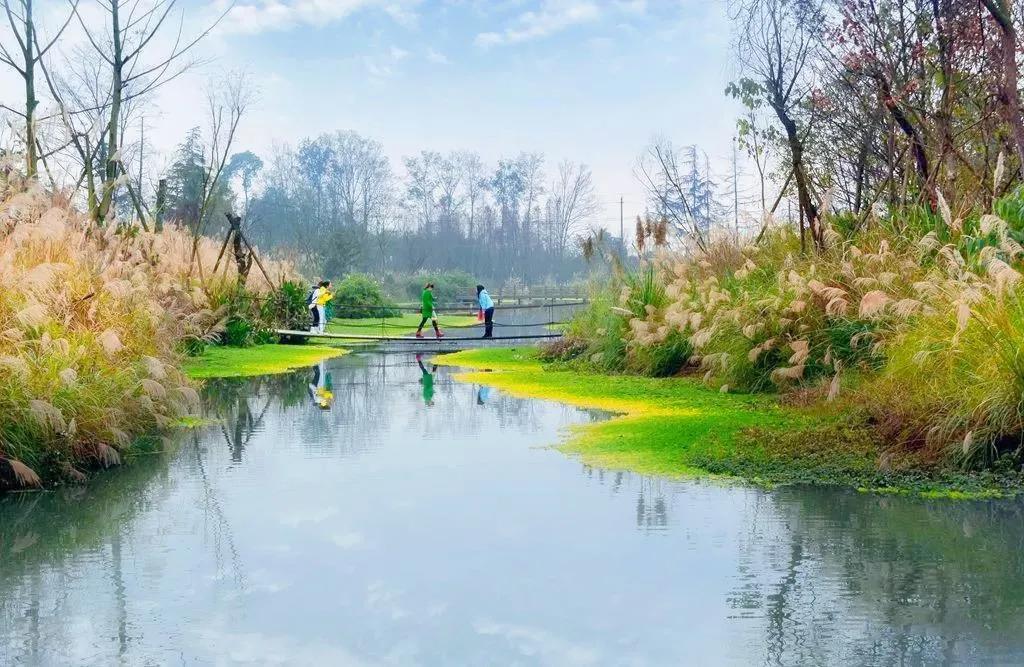 从贫困村到美丽乡村的华丽转身,崇州五星村国家示范乡村