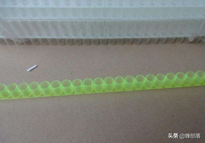 王台基是“圆形”的好还是“锅底形”的好?选对了,产量大增!