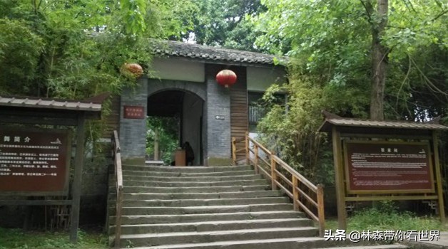 林森完整版免费观看,林森完整视频