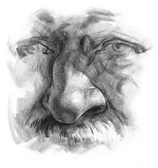 画人物要画鼻子吗,学画漫画人物的鼻子