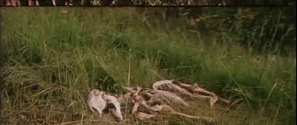 《紫日》紫色,代表太阳快落山了