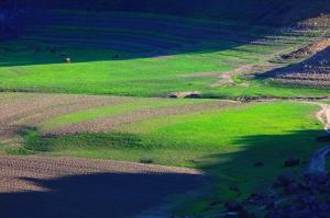 辽宁丹东是地级市吗,辽宁省丹东市排行