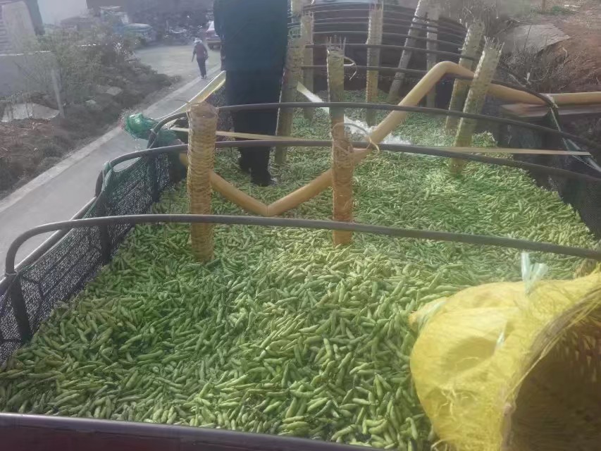 开大货车的真不容易啊,聊聊大货车那些事