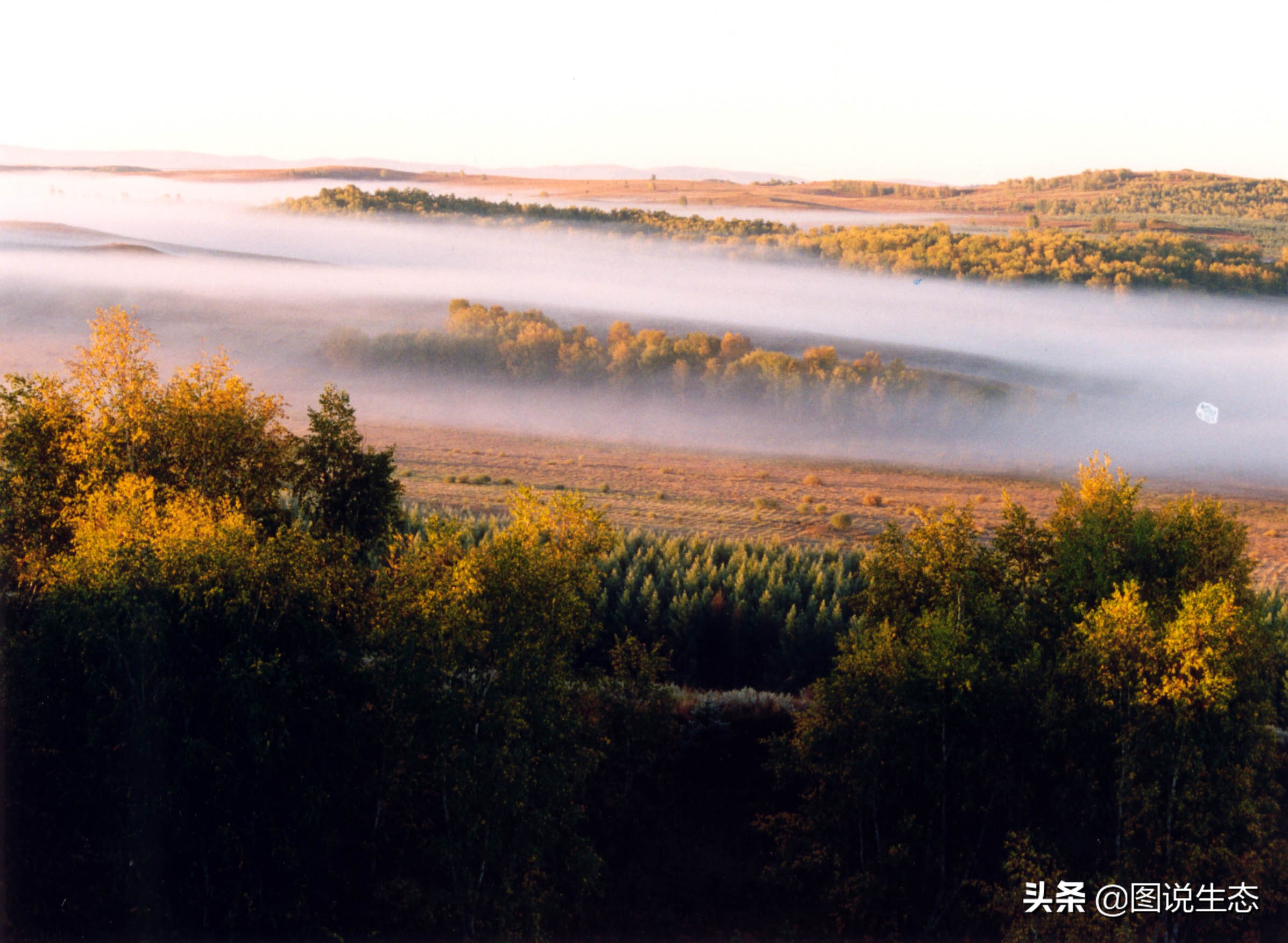 写出最真实的塞罕坝，永远是居住在塞罕坝的主人，请听他们如何说