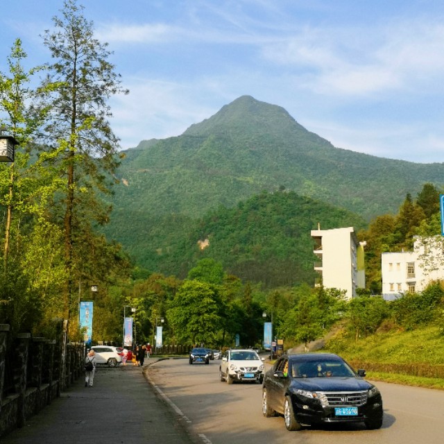 重庆近郊当天来回最佳景点自驾,七八月重庆金佛山自驾游攻略